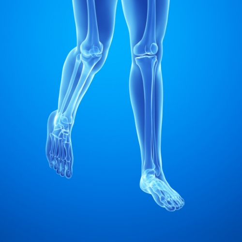 physical-therapy-clinic-gait-disorders-professional-therapy-partners-new-mexico-nm-texas-tx