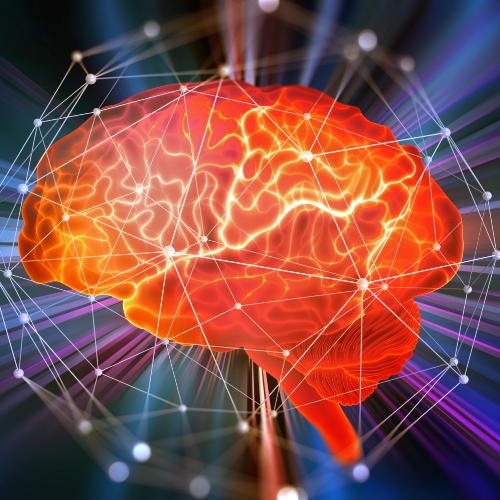 physical-therapy-clinic-neurological-conditions-professional-therapy-partners-new-mexico-nm-texas-tx
