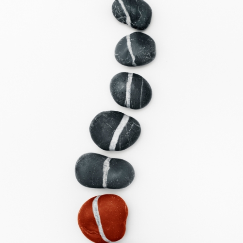 physical-therapy-clinic-sciatica-pain-relief-professional-therapy-partners-new-mexico-nm-texas-tx